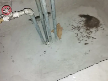 潮州卫生间测漏水价格明细