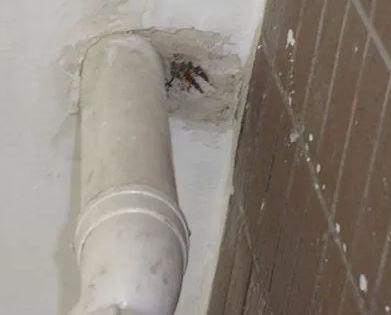 潮州漏水检测哪家好